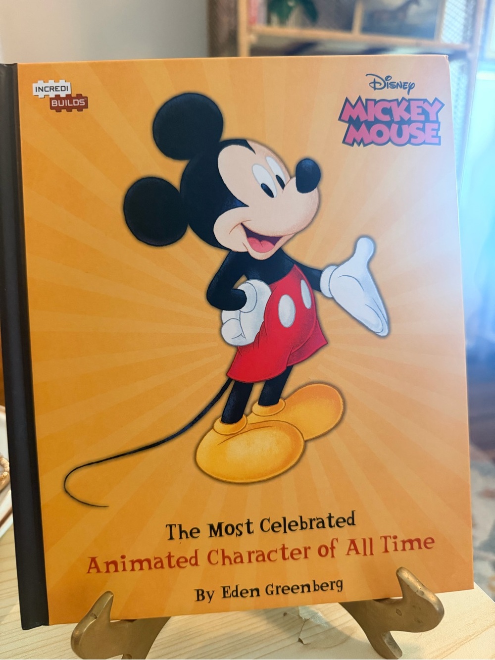 Mickey Mouse Children’s Book
